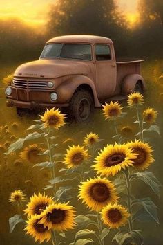 an old pickup truck parked in a field of sunflowers