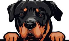 a black and brown dog sticker on a white background