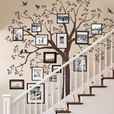 a tree with many pictures on it next to the stair case and wall decal