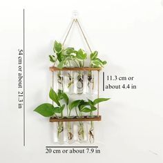 a wall hanging planter with plants in it and measurements for the height of each one