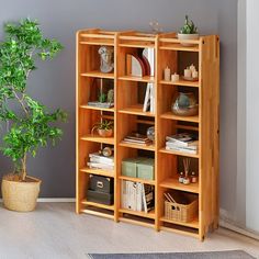 a wooden bookcase filled with books next to a potted plant