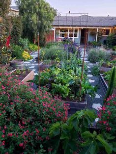 a garden with lots of flowers and plants in it