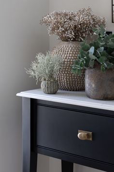 two potted plants sit on top of a black dresser next to a framed photograph