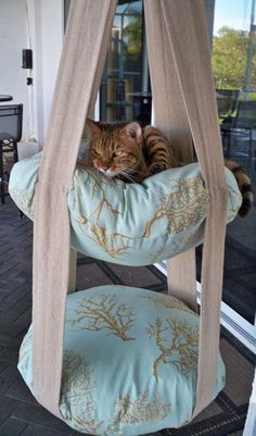 a cat is sleeping in a hanging bed