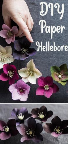 Paper Hellebore Flower Tutorial Paper Flowers Tutorial Step By Step, Crepe Paper Ornaments, Nature Diy Projects, Crepe Paper Christmas Flowers, Crape Paper Easy Flowers, How To Make Silk Flowers, Crape Paper Flowers Diy How To Make, Paper Vines Diy, Crepe Flowers Diy