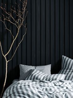 a bare tree in front of a black wall with striped sheets and pillows on it