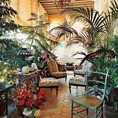 a room filled with lots of potted plants next to furniture and flowers on the floor