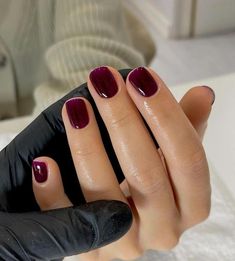 Red Shellac Nails, Shellac Nail Colors, Deep Red Nails, Wine Nails, Red Nail, Jelly Nails, Minimalist Nails