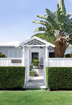 a white house with a palm tree in the front yard