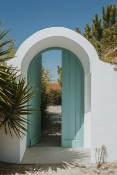 an open door to a white building with blue shutters and palm trees in the background