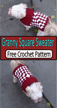 a small white dog wearing a red and white sweater on it's back with the words granny square sweater free crochet pattern