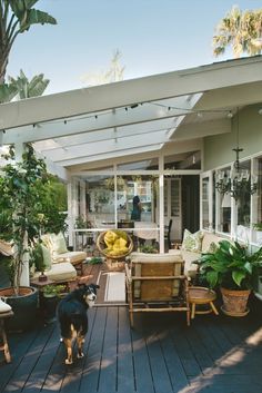 a dog standing on a wooden deck in front of a patio with furniture and plants