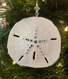 a white sand dollar ornament hanging from a christmas tree with blue crystals on it