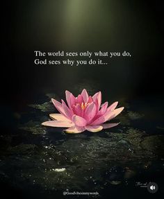 a pink flower floating on top of water with a quote above it that says, the world sees only what you do