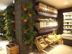 a store filled with lots of shelves covered in plants