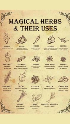 Herbs And Their Uses, Witchy Kitchen, Materi Bahasa Jepang, Magickal Herbs, Witch Herbs, Magia Das Ervas, Wiccan Magic, Witch Spirituality, Magic Spell Book