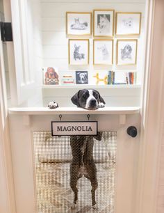 a dog is sitting in its kennel at the door