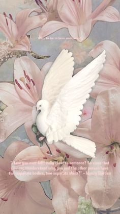 a white dove flying over pink flowers with a poem written in the center that reads,