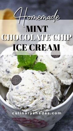 homemade mint chocolate chip ice cream in a bowl with text overlay that reads homemade mint chocolate chip ice cream