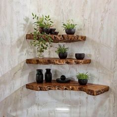 three wooden shelves with plants and vases on them