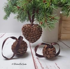 two pine cones are tied to ribbons next to a potted plant