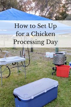 how to set up for a chicken processing day in the backyard with text overlay