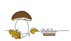 a mushroom with leaves and the words boletus mushrooms on it's side