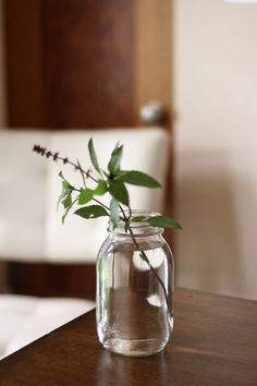 a glass vase with a plant in it sitting on a table next to a white chair