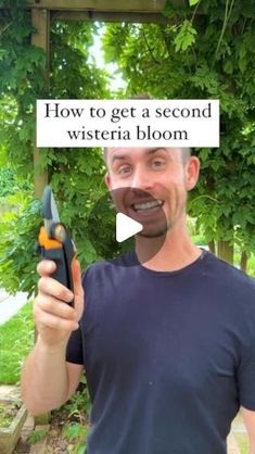 a man holding a pair of scissors in front of a sign that says how to get a second wisteria bloom