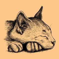 a drawing of a cat laying down with its head resting on the paw of another cat