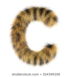 the letter c is made up of fur