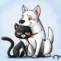 a white dog and black cat sitting next to each other on a light blue background