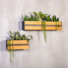 two wooden planters with green plants in them on a gray wall next to each other