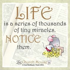 a quote from the book life is a series of thousands of tiny mice notice them