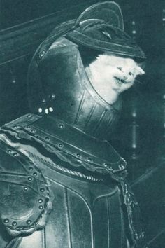 a black and white photo of a cat in a leather suit with a hat on it's head