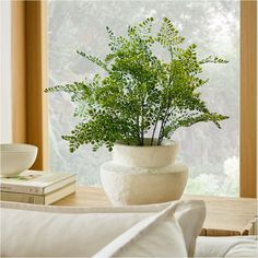 a potted plant sitting on top of a wooden table next to a white pillow