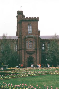 people are standing in front of a large building with many tulips growing on the lawn