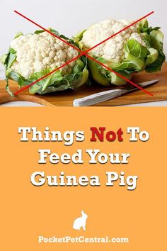 two pieces of cauliflower sitting on top of a cutting board with the words things not to feed your guinea pig