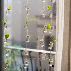 several glass jars with plants growing in them hanging from a window sill next to a curtain