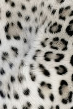 an animal with black spots on it's fur is seen in this close up photo