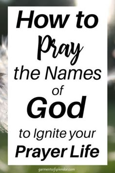 a dandelion with the words how to pray the names of god to ignite your prayer life