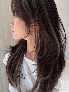 winter Korean hair color: highlights Hair Color Ideas Japanese, Hair Color For Winter Palette, Brown Hair Color Asian, Hair Dye Ideas Asian, Asian Hair Brown, Warm Tone Hair Color Ideas, Dyed Hair Korean, Korean Hair Dye Ideas, Asian Hair Color Ideas Korean