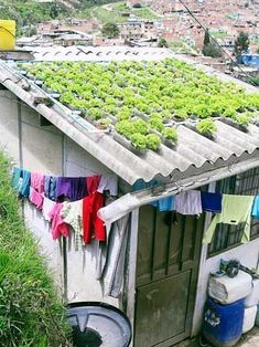 a small house with clothes hanging out to dry on the outside and in front of it