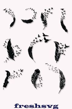 the silhouettes of different birds and feathers on a white background with text that reads freshsyg