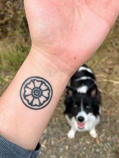 a small black and white dog standing next to a person's wrist with a tattoo on it