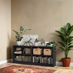 a living room with a rug, potted plant and bookshelf on the floor