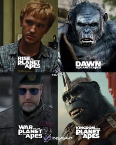 Caesar Planet Of The Apes, Movie Shots, Alien Planet, Planet Of The Apes, Kung Fu Panda, Armor Concept, Post Apocalyptic, Kung Fu, Marvel Universe