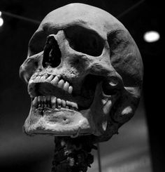 a human skull is shown in black and white