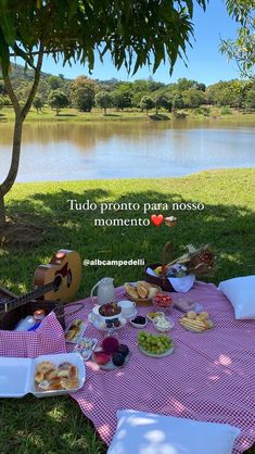 a picnic is set up on the grass near a lake with food and drinks in front of it