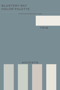 the color palette for this project is gray and white